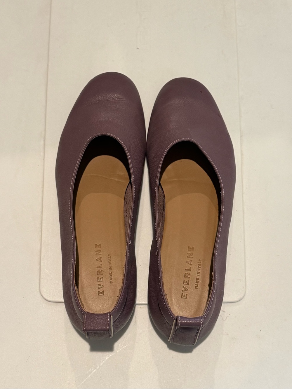 Everlane Leather Dayglove Ballet Flats in Mauve Plum size 6